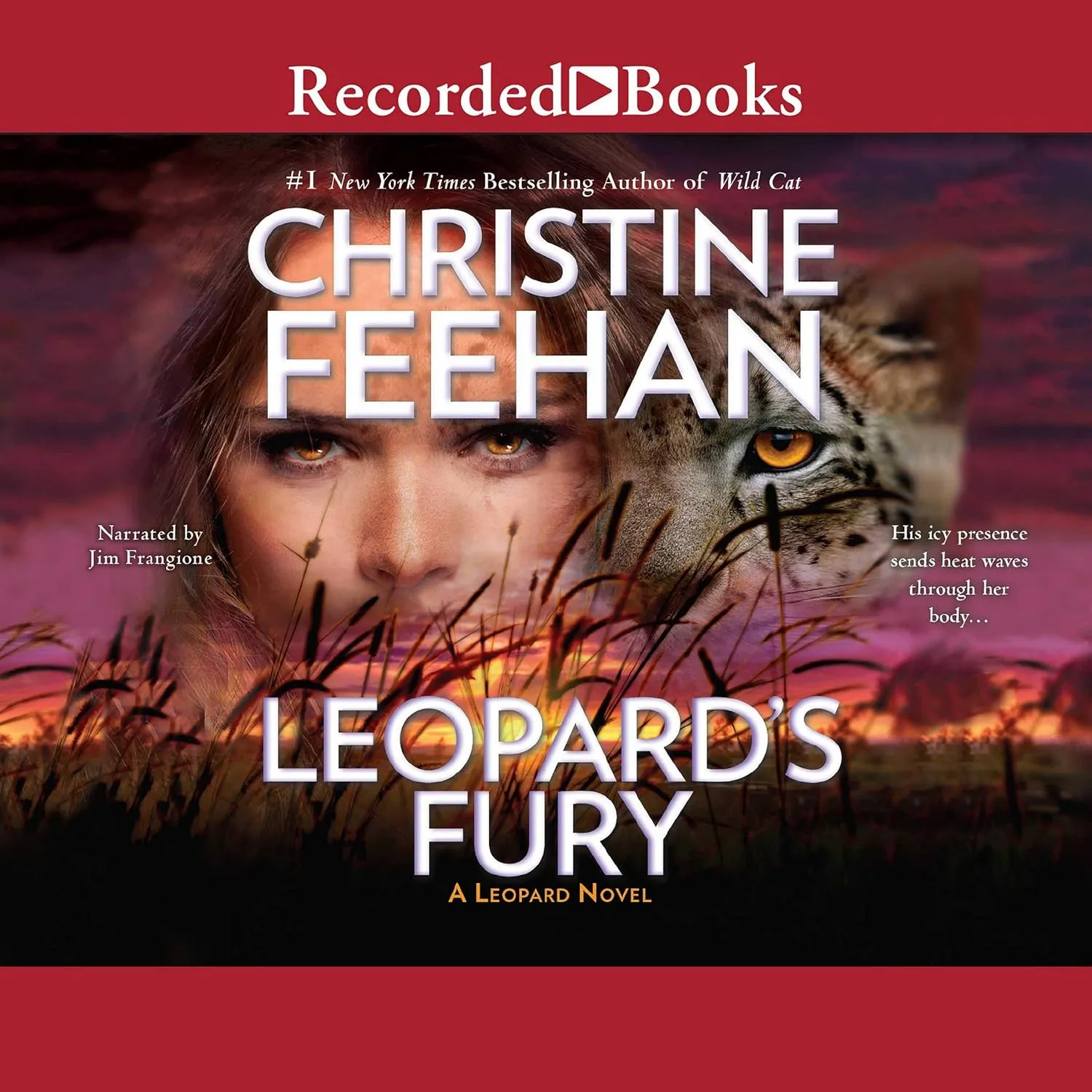 Leopard's Fury (The Leopard People Series) Audio CD  November 15, 2016